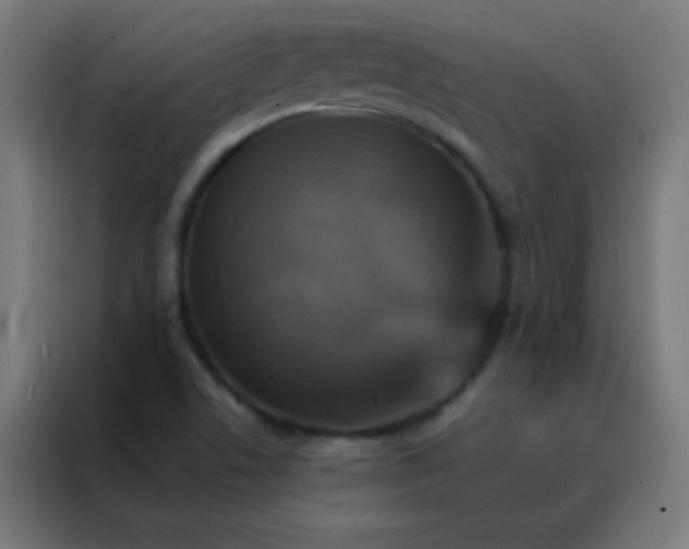 X0000088201506200705221712