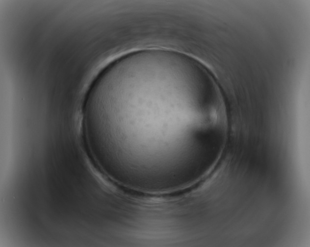 X0000088201507200705221712