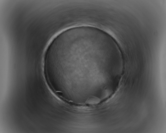 X0000088201508200705221712