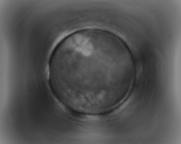 X0000088201509200705221712