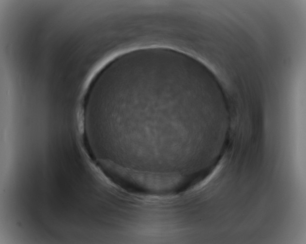 X0000088201510200705221712