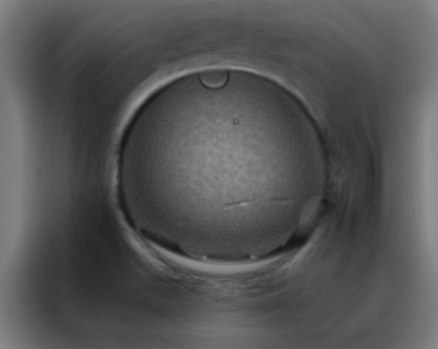X0000088201511200705221712