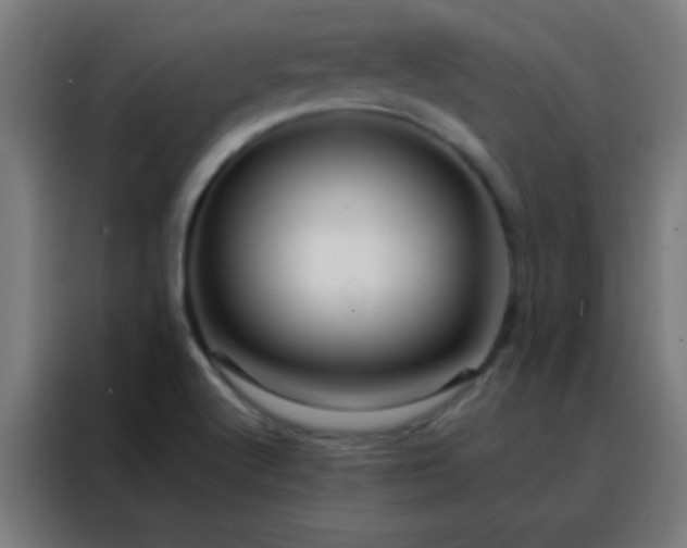 X0000088201512200705221712
