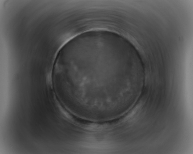 X0000088201513200705221712