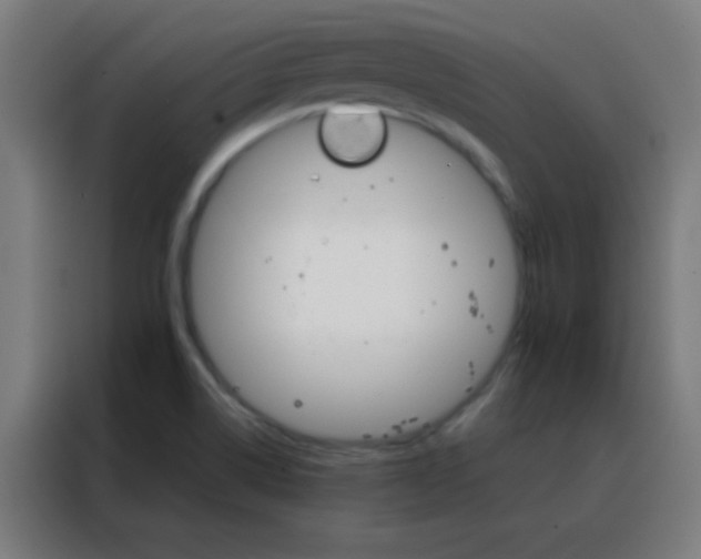 X0000088201514200705221712