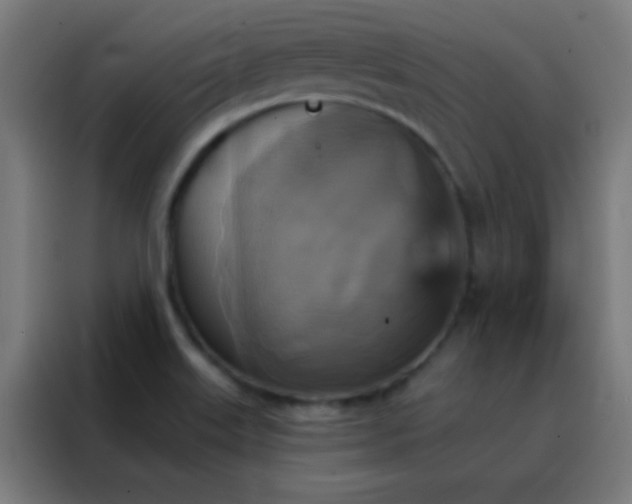 X0000088201515200705221712