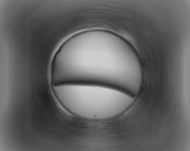 X0000088201516200705221712