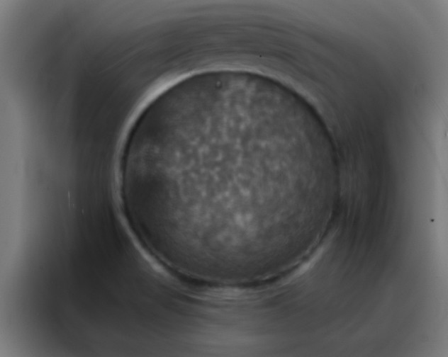 X0000088201517200705221712