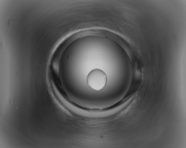 X0000088201518200705221712