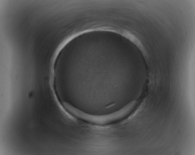 X0000088201520200705221712