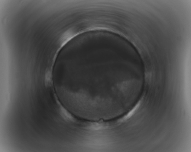 X0000088201521200705221712