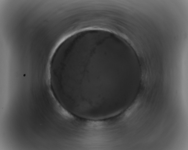 X0000088201522200705221712