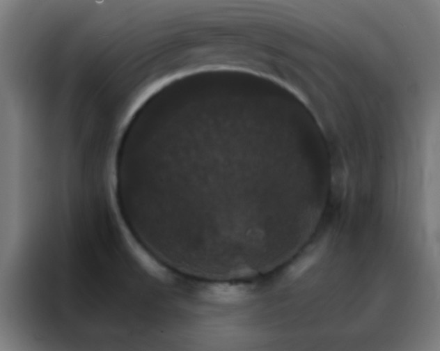 X0000088201523200705221712