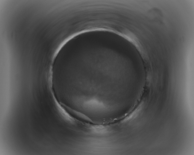 X0000088201524200705221712