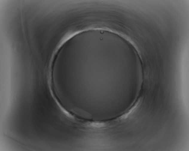 X0000088201525200705221712