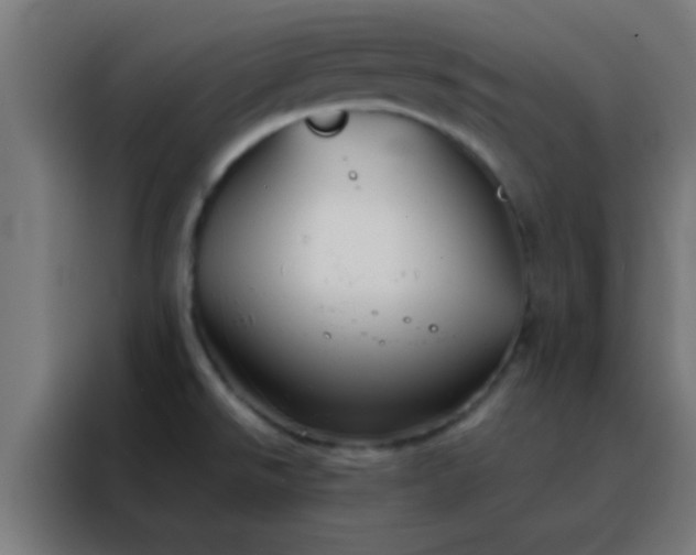 X0000088201526200705221712