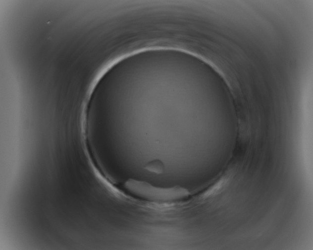 X0000088201527200705221712