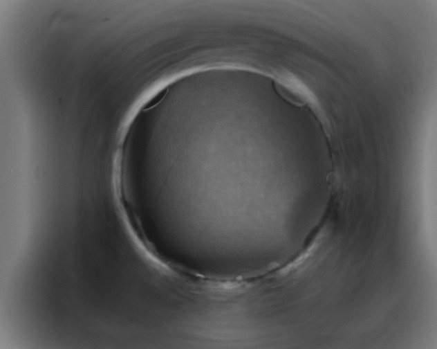 X0000088201528200705221712