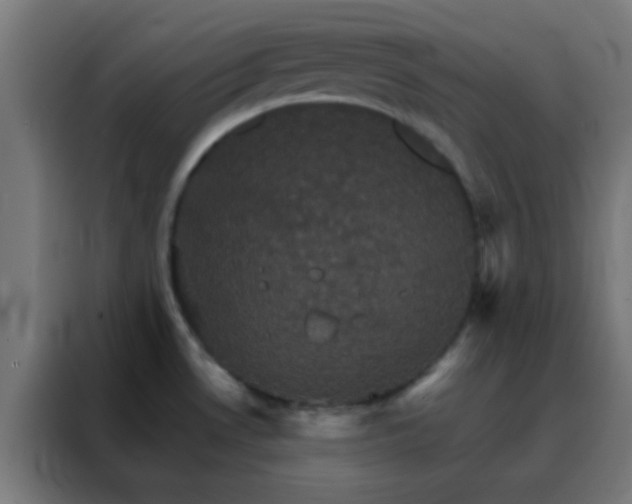 X0000088201530200705221712