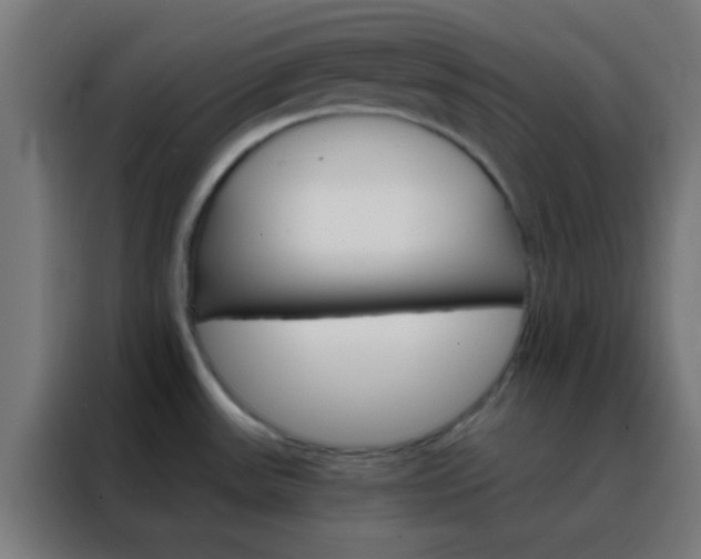 X0000088201531200705221712