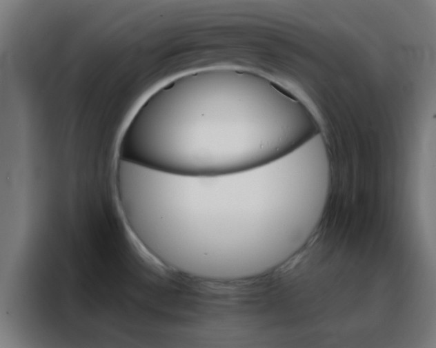 X0000088201532200705221712