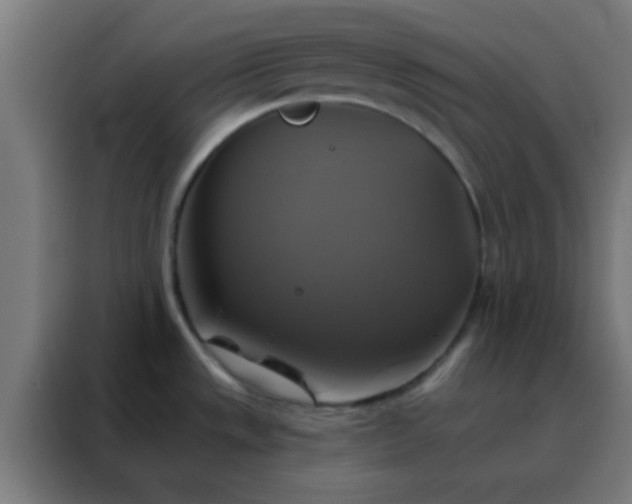 X0000088201533200705221712