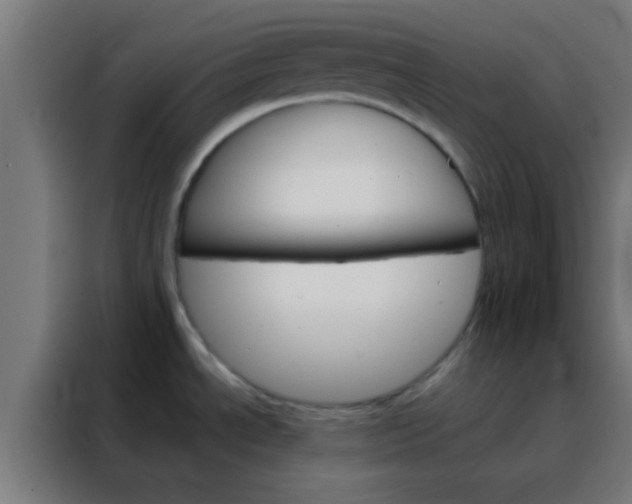 X0000088201534200705221712