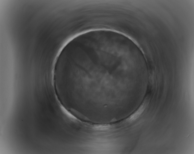 X0000088201535200705221712