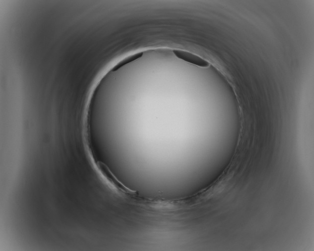 X0000088201536200705221712