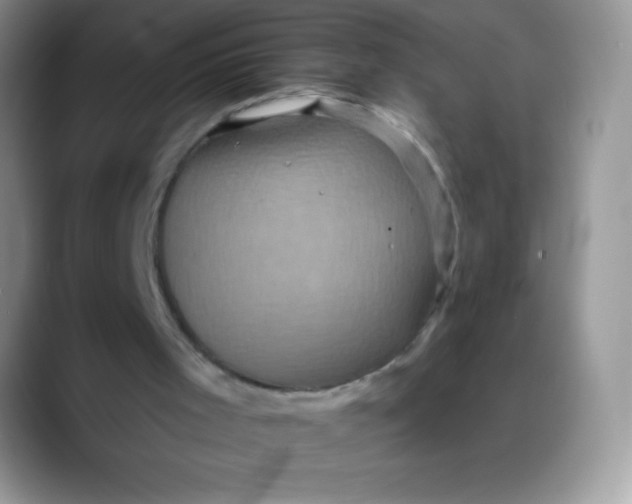 X0000088200001200705292042