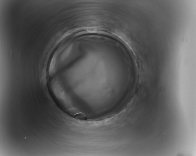 X0000088200002200705292042