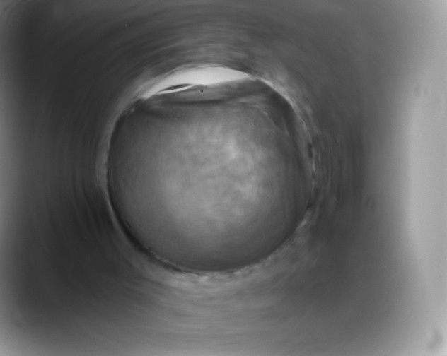 X0000088200003200705292042