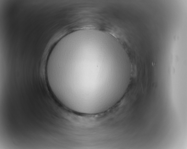 X0000088200004200705292042