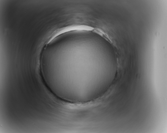 X0000088200005200705292042