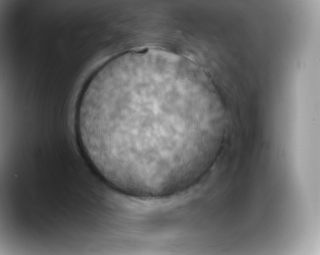 X0000088200006200705292042