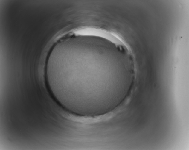 X0000088200007200705292042