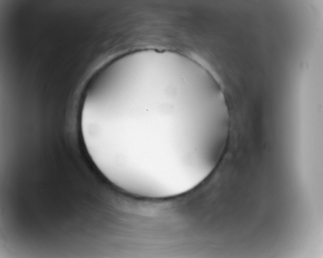 X0000088200008200705292042