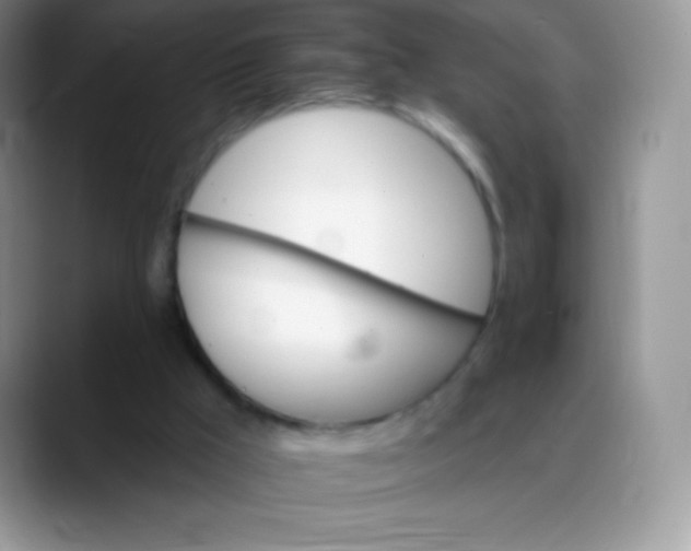 X0000088200009200705292042