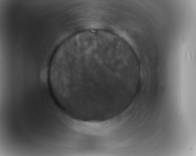 X0000088200010200705292042