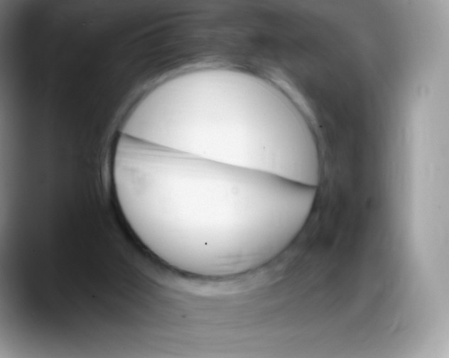 X0000088200011200705292042