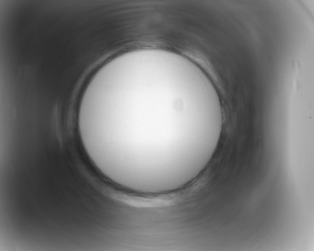 X0000088200012200705292042