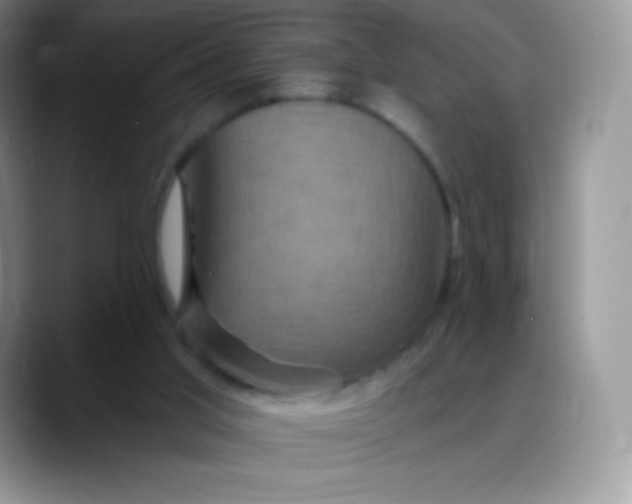 X0000088200013200705292042