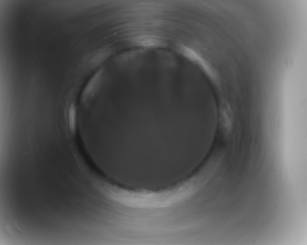 X0000088200014200705292042