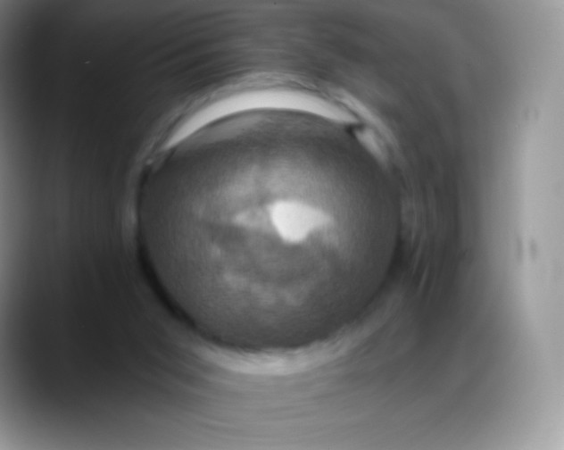 X0000088200015200705292041