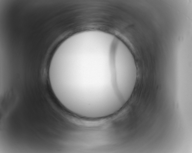 X0000088200016200705292041