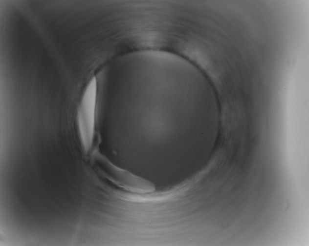 X0000088200017200705292041