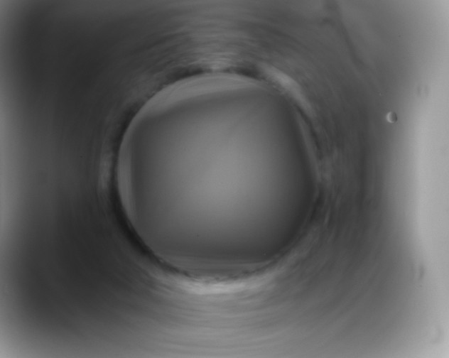 X0000088200018200705292041