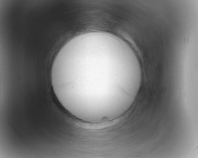 X0000088200019200705292041