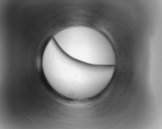 X0000088200020200705292041