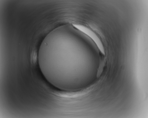 X0000088200021200705292041